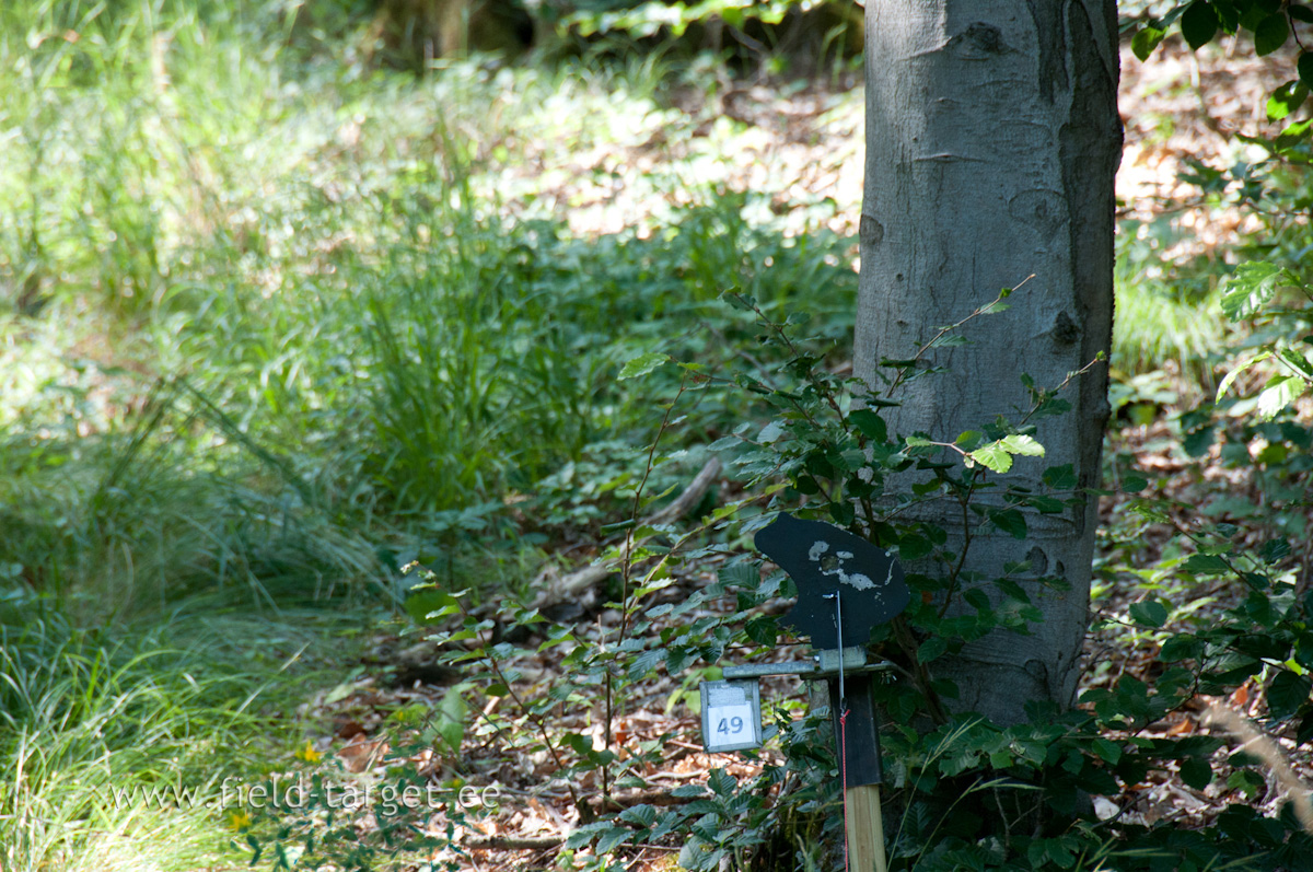 The total number of targets with reduced diameter hit zones may not exceed 25% of the total targets